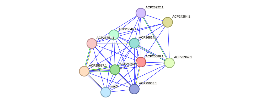 STRING protein interaction network