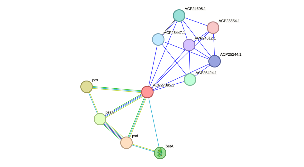 STRING protein interaction network