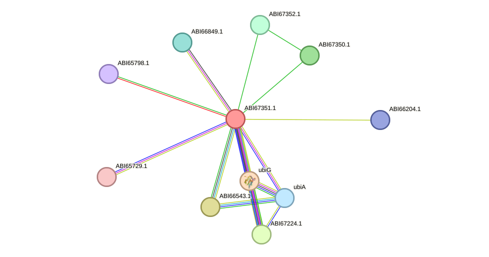 STRING protein interaction network