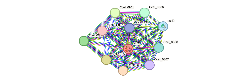 STRING protein interaction network