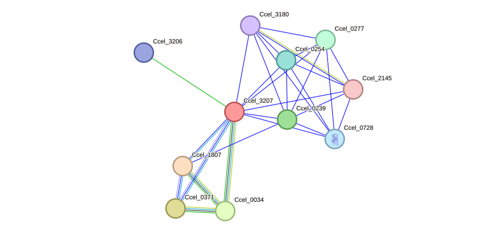STRING protein interaction network