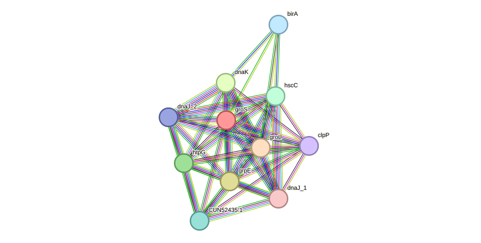 STRING protein interaction network