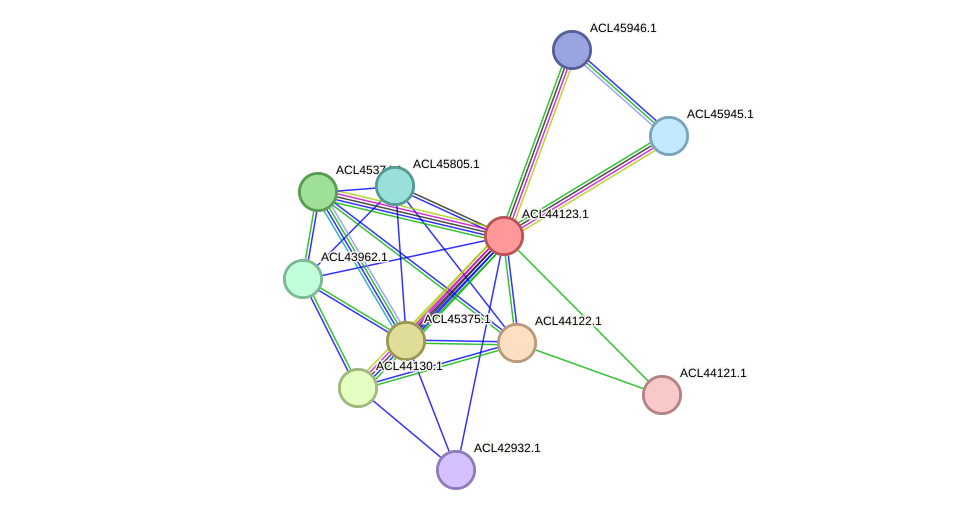 STRING protein interaction network