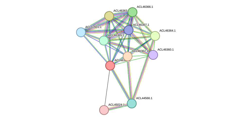 STRING protein interaction network