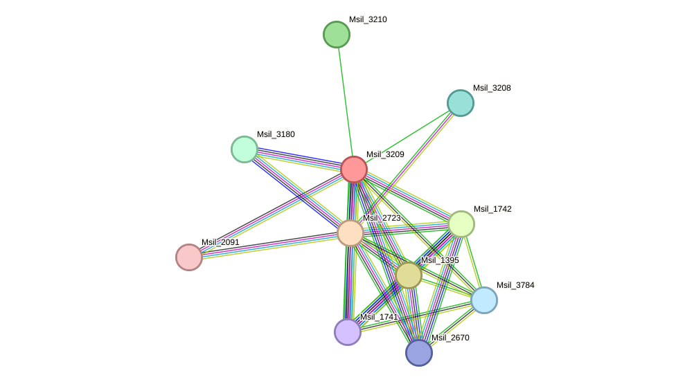 STRING protein interaction network