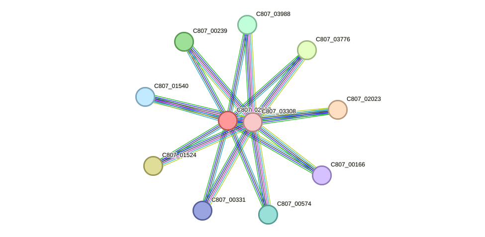 STRING protein interaction network