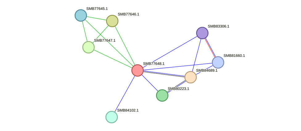 STRING protein interaction network