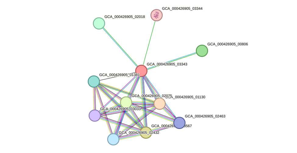 STRING protein interaction network