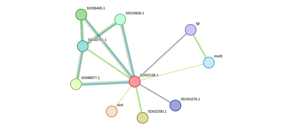 STRING protein interaction network