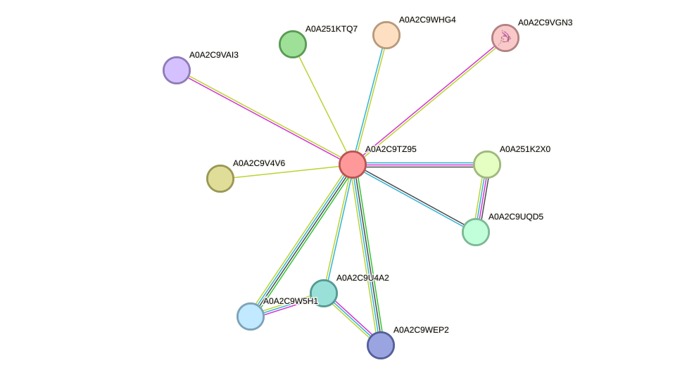 STRING protein interaction network