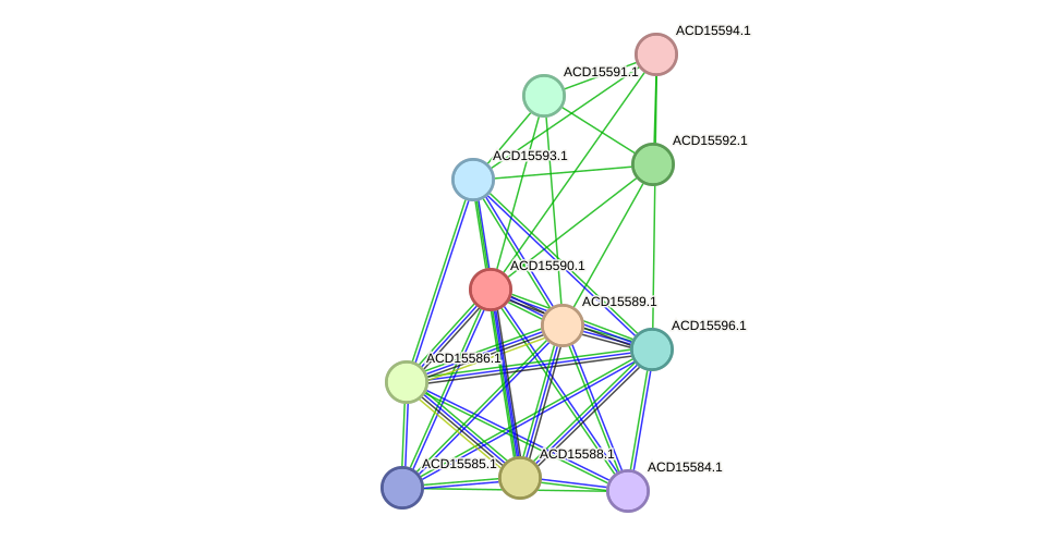 STRING protein interaction network