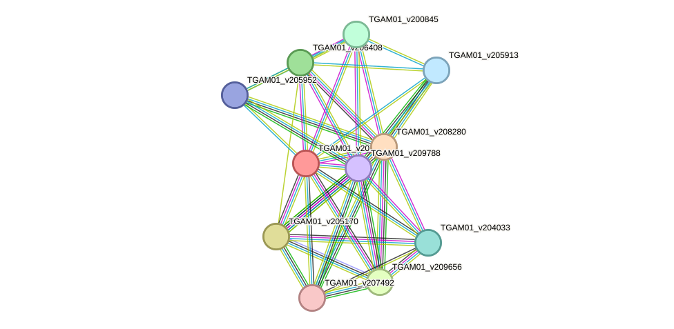 STRING protein interaction network