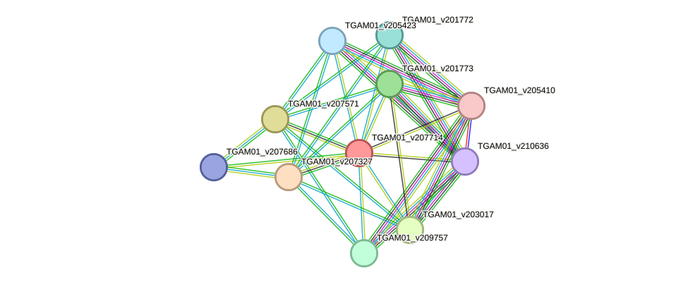 STRING protein interaction network