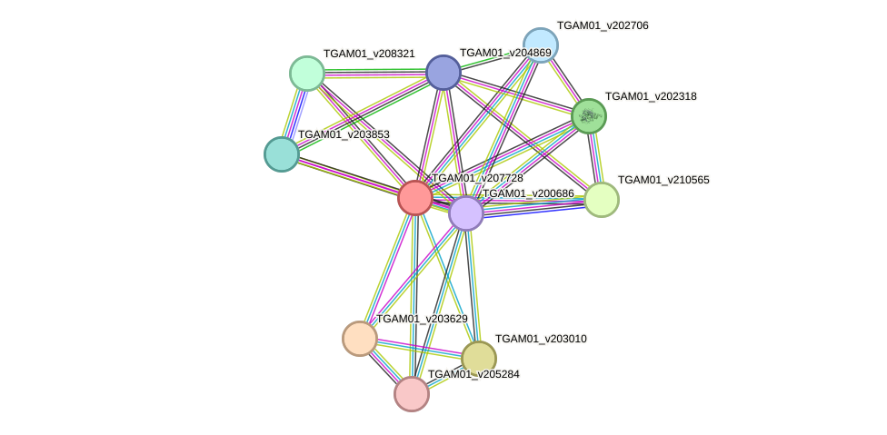 STRING protein interaction network