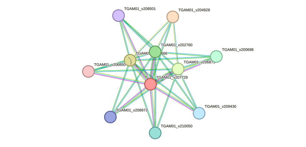 STRING protein interaction network