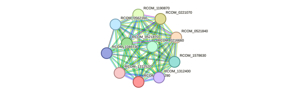 STRING protein interaction network