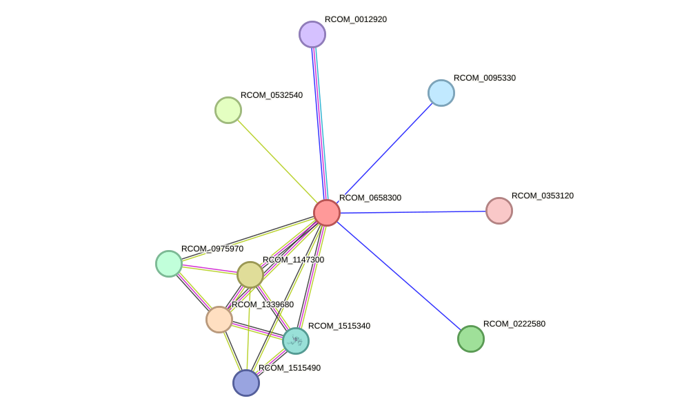 STRING protein interaction network