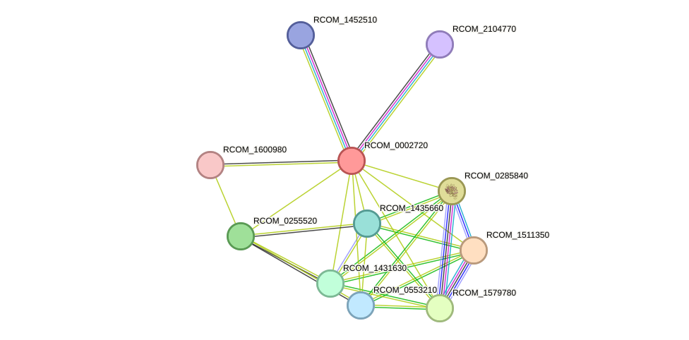 STRING protein interaction network