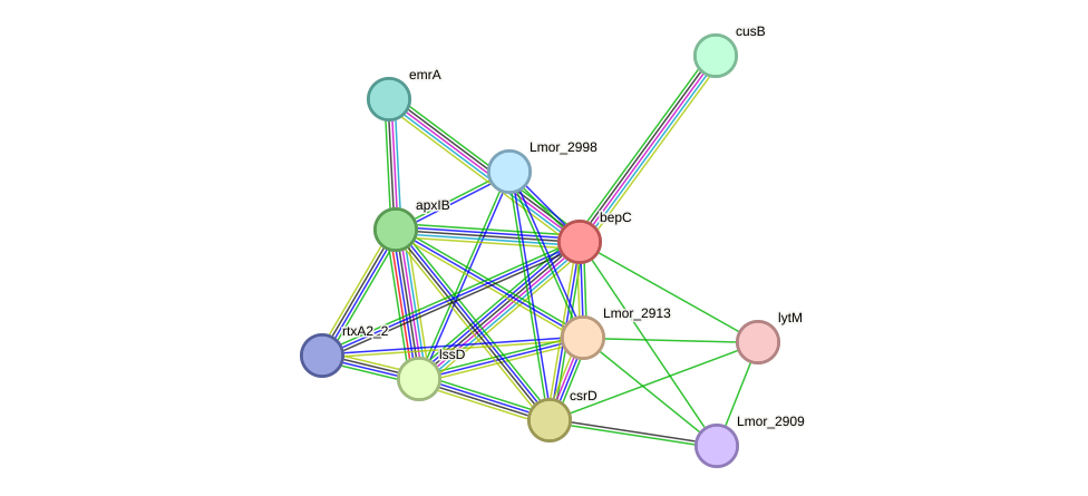 STRING protein interaction network