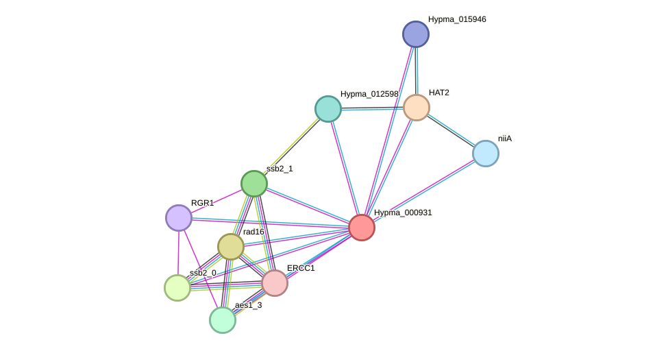 STRING protein interaction network