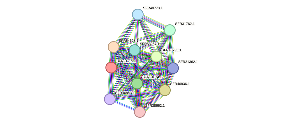 STRING protein interaction network