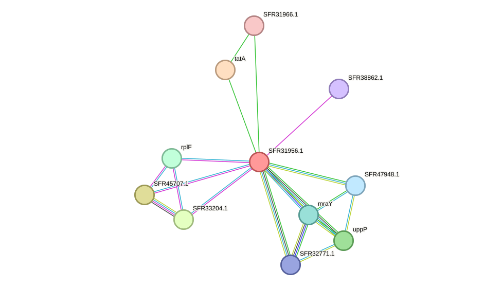 STRING protein interaction network