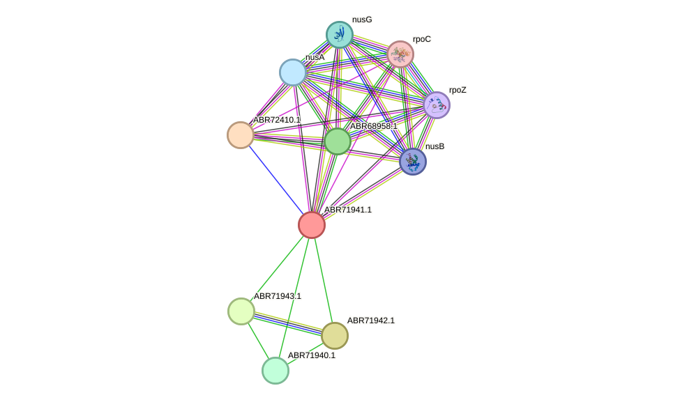 STRING protein interaction network