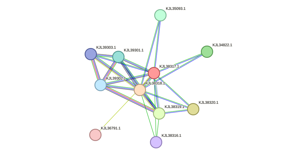 STRING protein interaction network