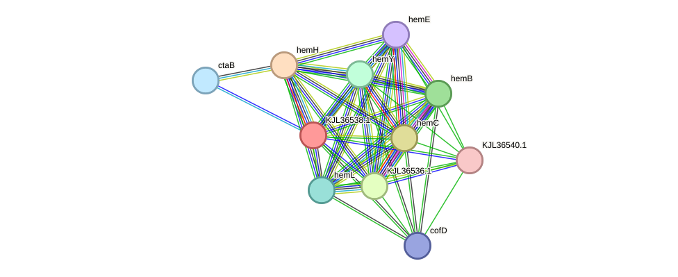 STRING protein interaction network