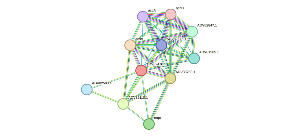 STRING protein interaction network
