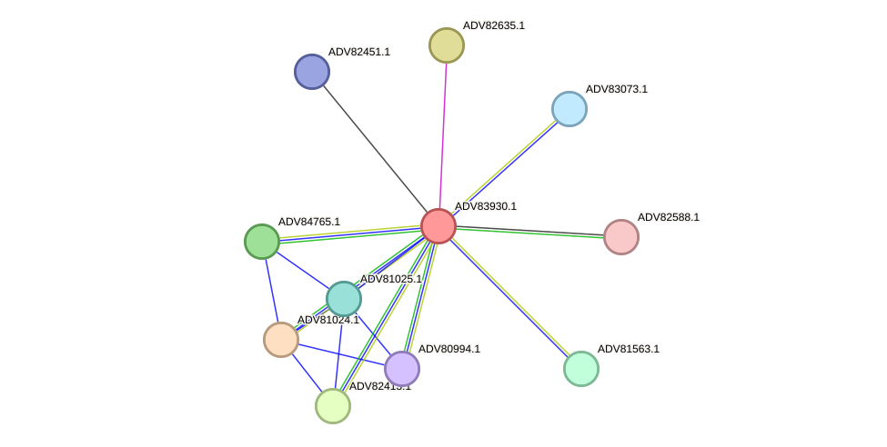 STRING protein interaction network