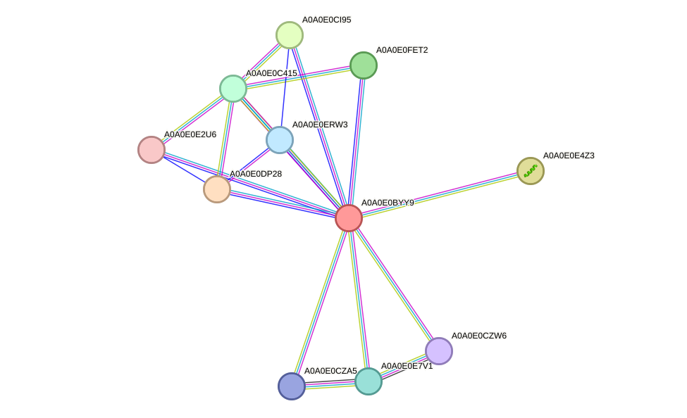 STRING protein interaction network