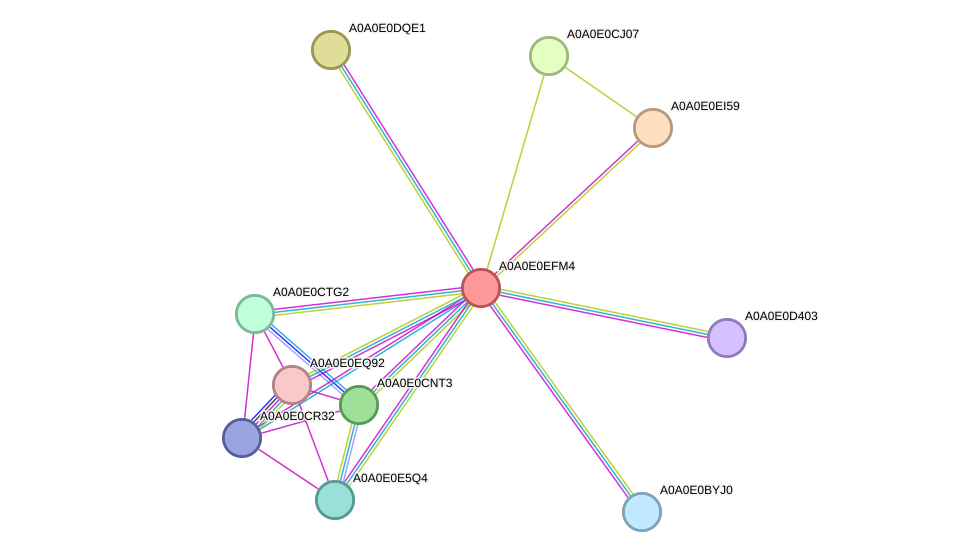 STRING protein interaction network