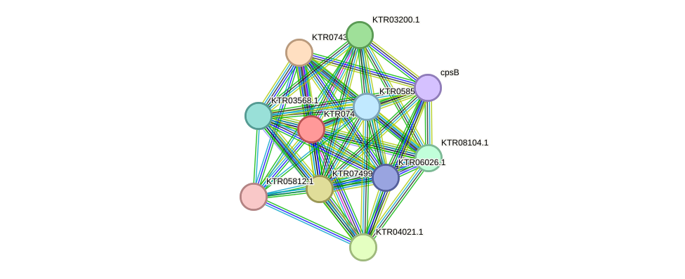 STRING protein interaction network