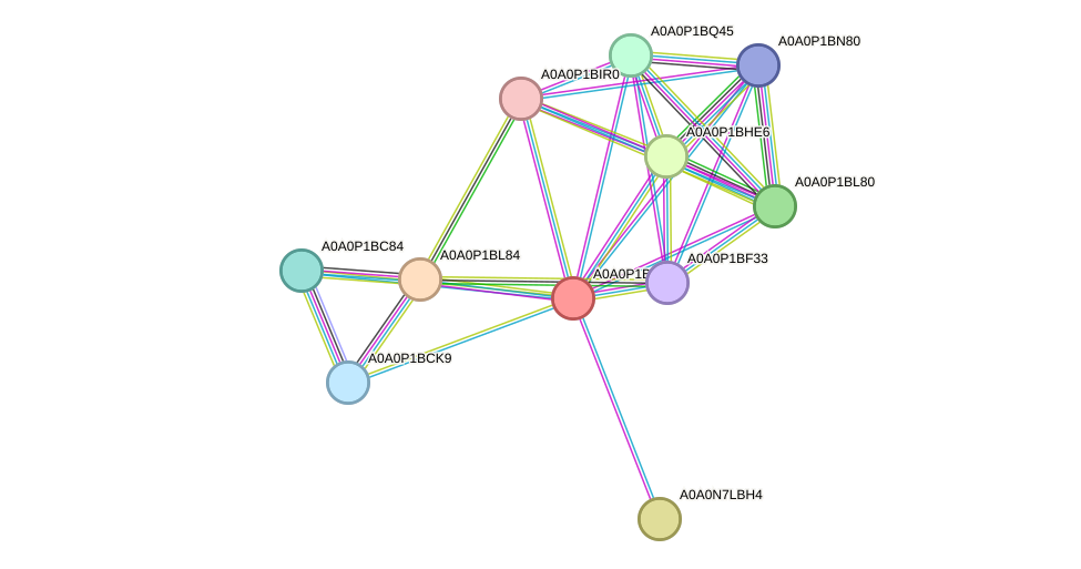 STRING protein interaction network