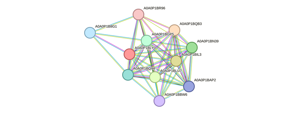 STRING protein interaction network