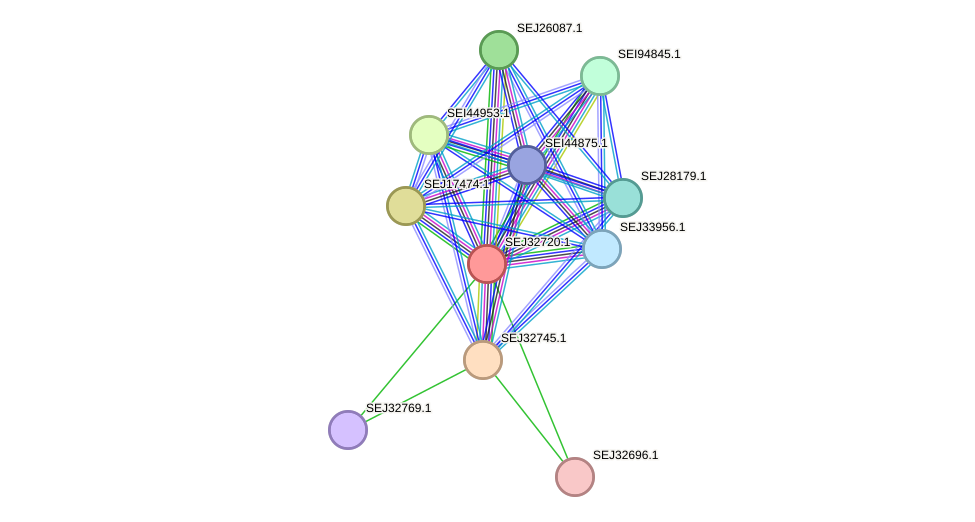 STRING protein interaction network