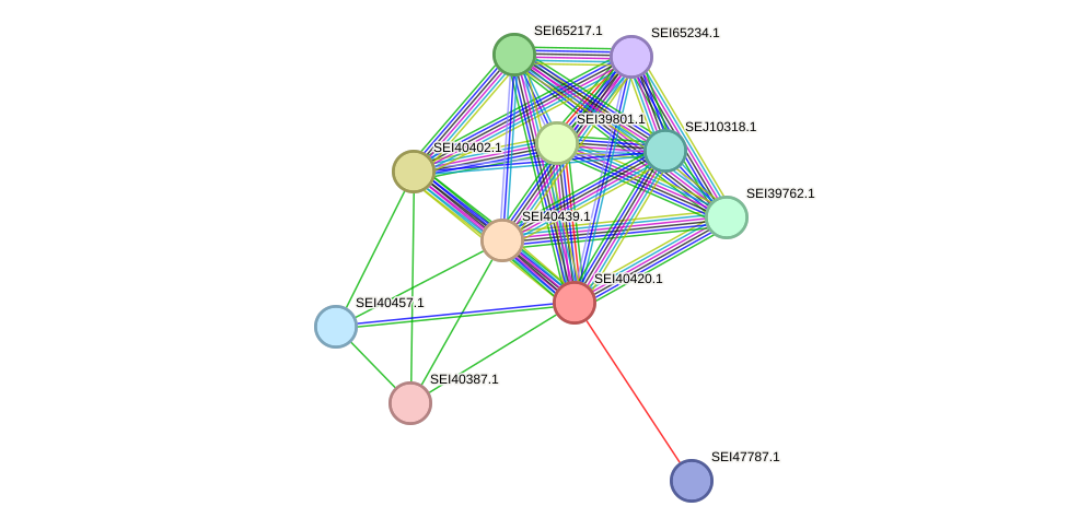 STRING protein interaction network