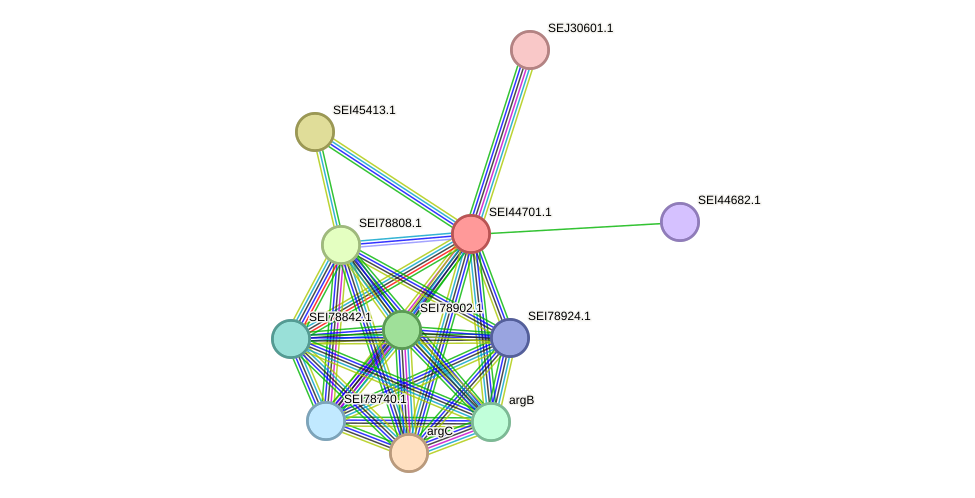 STRING protein interaction network