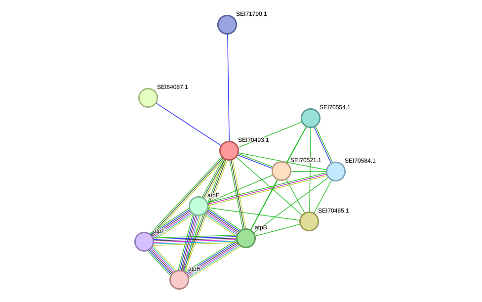 STRING protein interaction network