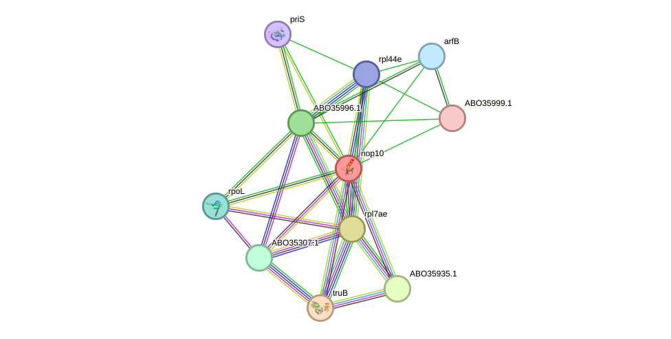 STRING protein interaction network