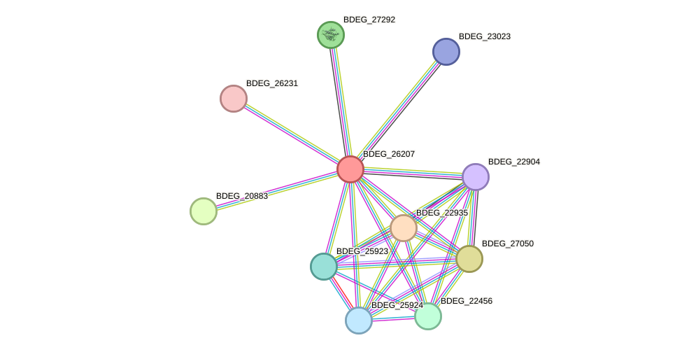 STRING protein interaction network