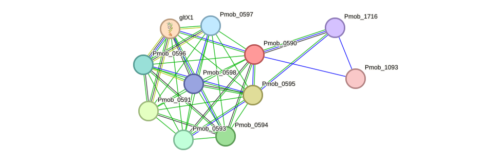 STRING protein interaction network