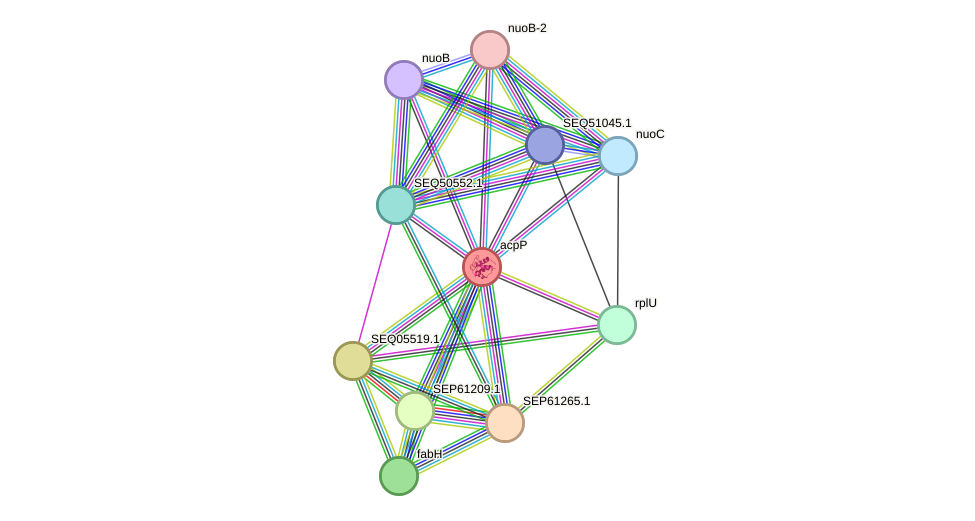 STRING protein interaction network