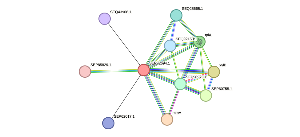 STRING protein interaction network