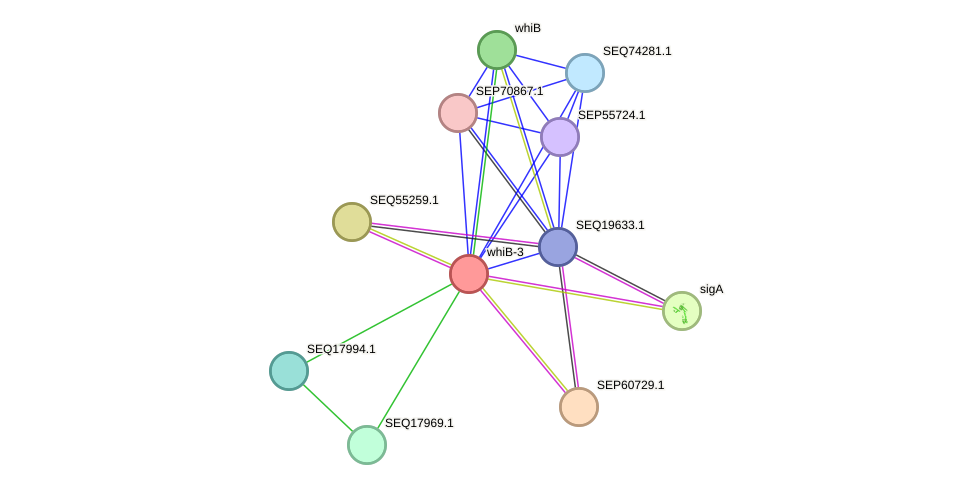 STRING protein interaction network