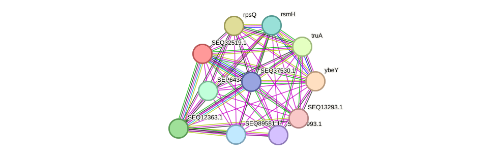 STRING protein interaction network