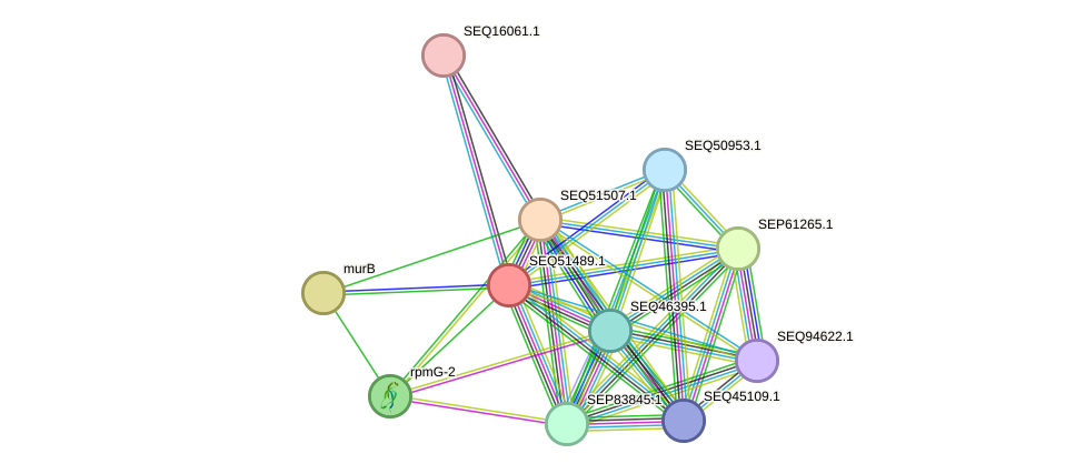 STRING protein interaction network