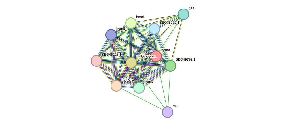 STRING protein interaction network