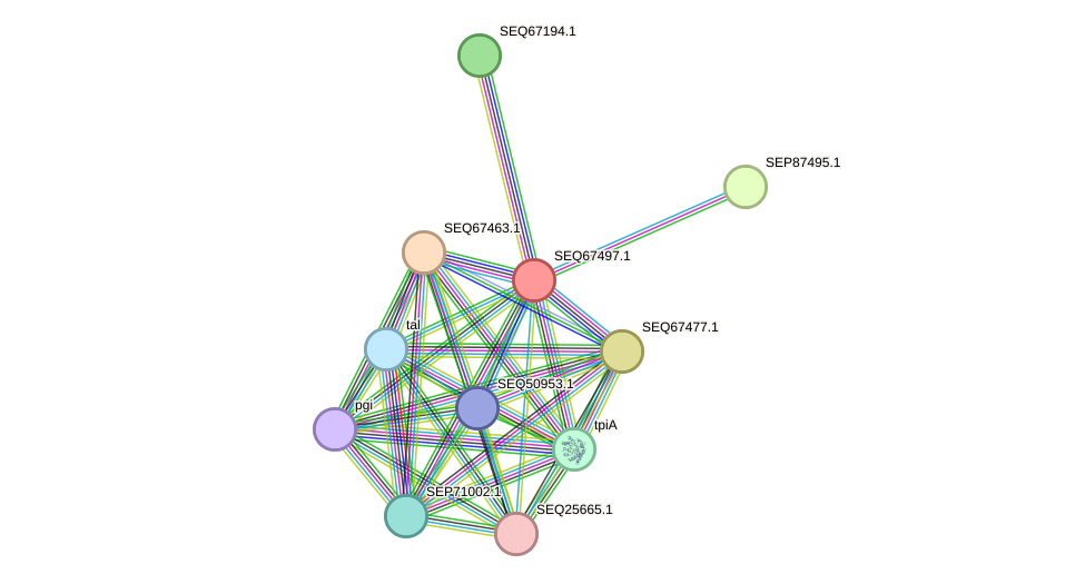 STRING protein interaction network